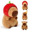 MeYuxg Capybara Cuddly Toy, 22 cm Capybara Plush Toy with