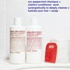MALIN+GOETZ Shampoo Clarifying Peppermint | Daily Cleanser with Amino Acids