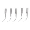 5pcs P1 Dental Clean Machine Tip Stainless Steel Heat Resistance