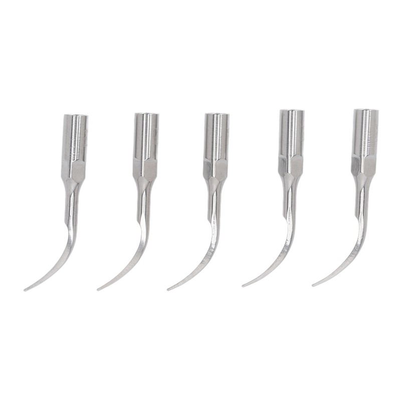 5pcs P1 Dental Clean Machine Tip Stainless Steel Heat Resistance