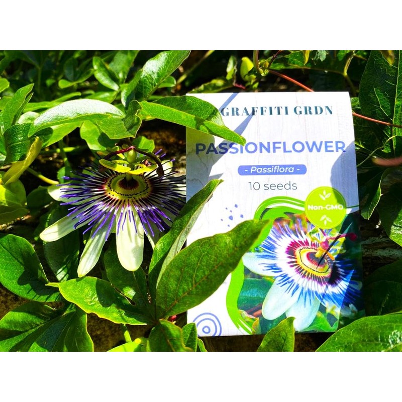 Unique Exotic Passion Flower Passionflower 10 Seeds for Planting Non-GMO