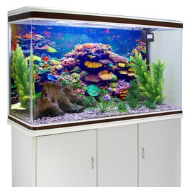 AWERT Undersea Theme Aquarium Background 72x24 inches Vinyl Colorful Coral Tropical Fish Underwater World Fish Tank Background