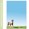 3 x Horses Writing Pad "Horse in Moonlight", "Palomino" and