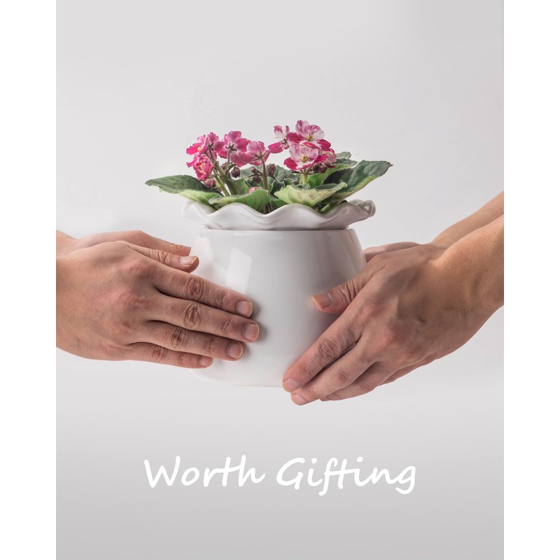 Fayoula Self Watering Plant Pot, 6 Inch African Violet Pots