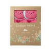 Angel Dear Watermelon Twin Set Blankies Box.