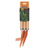 Tramontina 3-Piece Garden Tool Set (Metal-Wood)