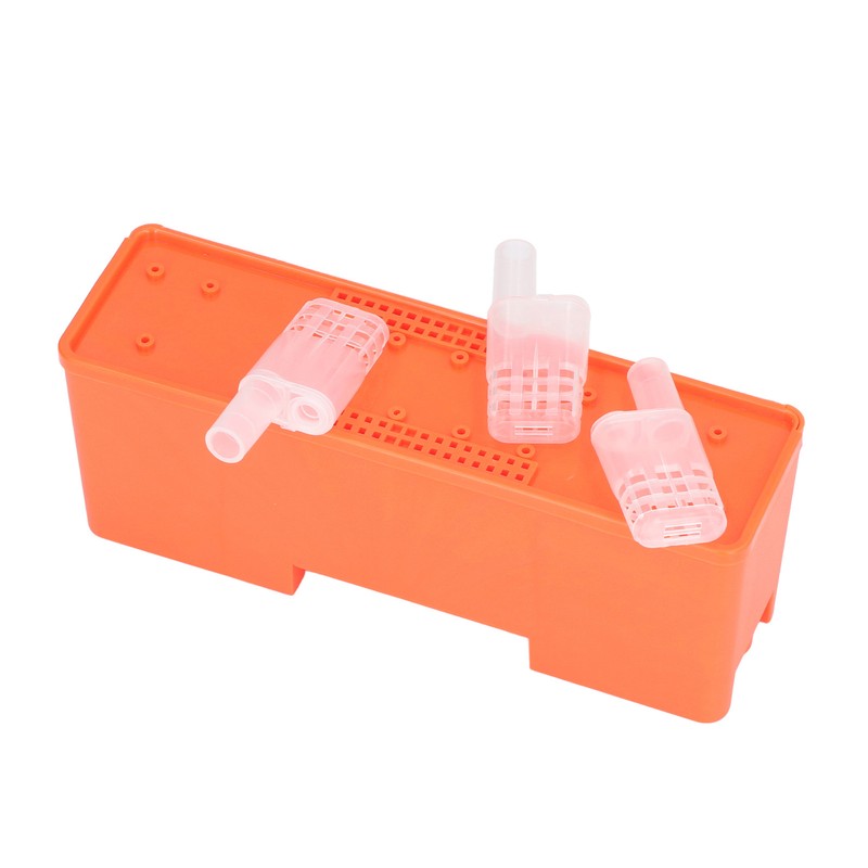 King Cage Transport Box with 20Pcs Queen Bee Rearing Cages