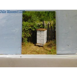 Emil's Hive - new beekeeping postcard of a vintage bee hive by Julie Miscera