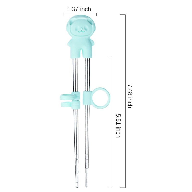 2 Pairs Training Chopsticks with Case Learning Chopstick Helper Stainless