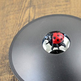 ANCLLO 3D Mirascope Instant Illusion Maker Optical Projection Visual Illusion Parabolic Reflector for Gift Ladybug
