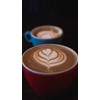 Pazzo Fresco Espresso Whole Bean Coffee 2 lb Bag Dual