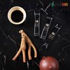 Go-Cheol-Nam-Hong-Sam 고철남홍삼 짜먹는홍삼정 뒤끝있는 홍삼정[F20170419005] Gocheol Red Ginseng Liquid Extract