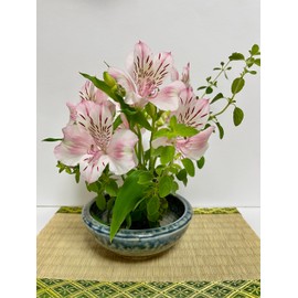 Japanese Mino Ware Ikebana Ceramic Small Round Flower Vase D5.1 in x H2 in and Brass Kenzan Pin Frog for Flower Arrangement D1.8 in X H0.87 in, Made in Japan M11710