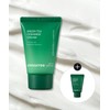 Innisfree [Gift with Purchase] Green Tea Ceramide Cream (Tube) 50mL