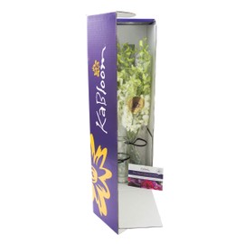 KaBloom PRIME NEXT DAY DELIVERY - Mother’s Day Collection - Exotic Perla White Orchid Bouquet of White Orchids with Vase .Gift for Birthday, Get Well, Thank You, Valentine, Mother’s Day Fresh Flowers