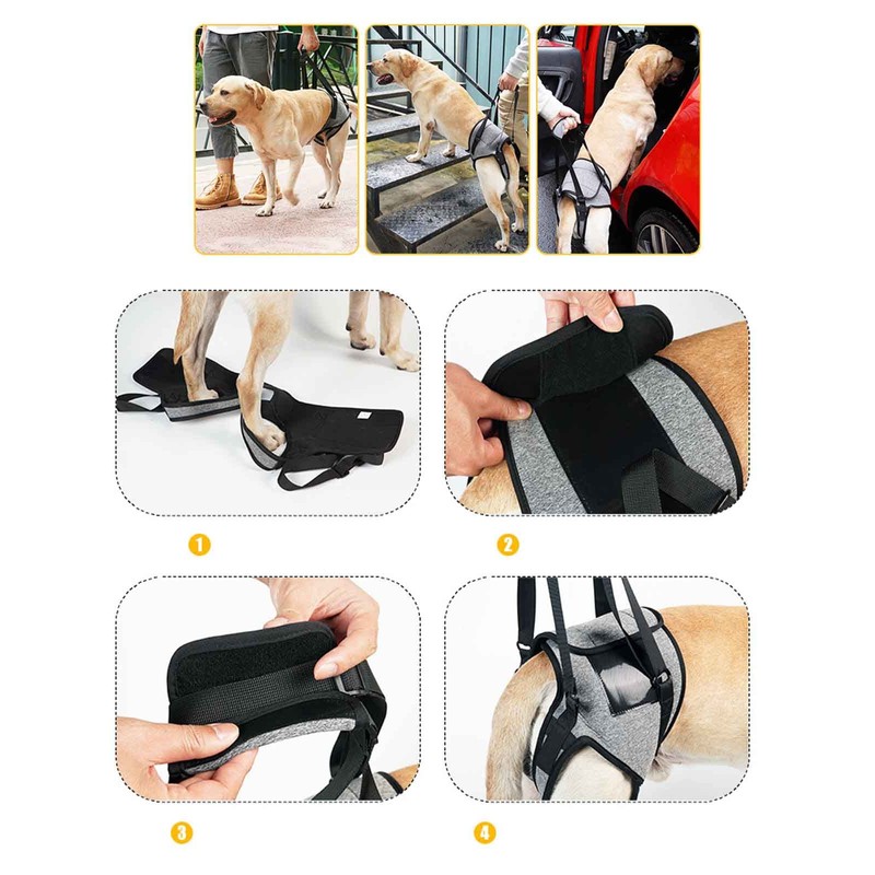 Dog Care Harness, Dog Harness, Waist Band, For Large Dogs,