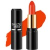 Labial Mate Profesional No Transfiere, Acabado Mate Sedoso que No