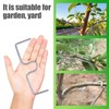 JAMSSOW Pack of 26 8 cm Branch Separators for Fruit