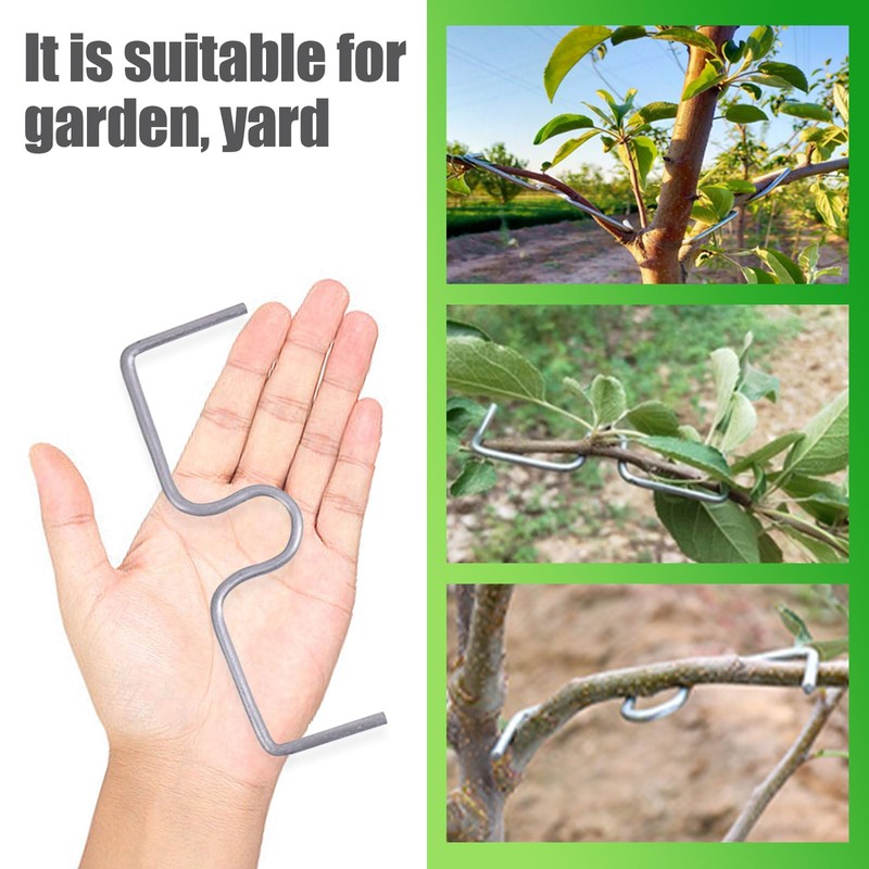 JAMSSOW Pack of 26 8 cm Branch Separators for Fruit