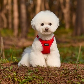 Dog Harness with Leash Set, Anti-Pull Reflective Step-in Vest Harness, Waterproof Neoprene with Soft Mesh Lining for Small Dogs, Adjustable Fit