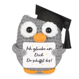 WenmthG Knitted Owl Positive Gifts, Pocket Hug Owl, Positive Potato Replacement, Encouragement Gift, Get Well Soon Gift, Lucky Charm Exam Gift, Owl Doll, Pack of 1