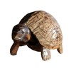 Prodbuy Coconut Shell Cute Nodding Sea Turtle Ornament 19.5cm Long