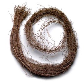 Vickerman Discontinued Garlands Brown Garland, 7-Feet