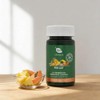 Blen Pro-GUT Cápsulas Digestivas con Probióticos, Prebióticos y Enzimas, 60