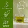 Amla Moringa Turmeric Tea Bags | Herbal Caffeine-Free Blend |