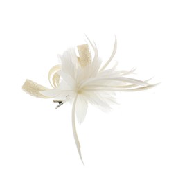 Zac's Alter Ego Colourful Fascinator with Feather on Clip & Brooch Pin