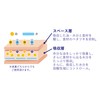Arland Bento Juice and Oil Absorbing Sheets, Pack of 100,
