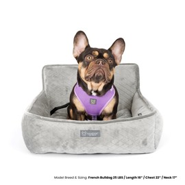 Nandog Pet Gear Luxury Dog Car Seat Bed w/Removable & Washable Pad Insert & Thick Car Seatbelt Straps - Secure, Comfortable, Easy-to-Clean Pet Carrier (Light Grey, 22" L x 18" W in)