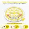 18 Egg Incubator,Automatic Turning,Egg Candler,Air Vent, Hatching Chicken Duck Quail