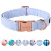 Unique style paws Dog Collar Metal Buckle Collar Gift for
