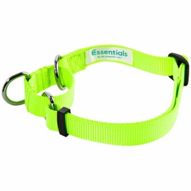 Blueberry Pet Essentials Martingale Safety Training Dog Collar, Highlighter Yellow, Small, Heavy Duty Nylon Adjustable Collars for Dogs