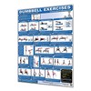 Productive Fitness CDLP Dumbbell Core44; Back44; Chest and Lower Body