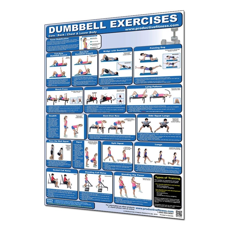 Productive Fitness CDLP Dumbbell Core44; Back44; Chest and Lower Body