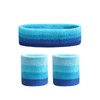 80s Headband Blue Terry Cloth Headband and Wristband Set Sweat