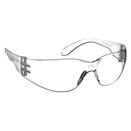 Clear HC/PC Lens, Clear Translucent Temples