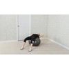 Black Mountain Products Professional Grade Exercise Stability Yoga Ball, Foot