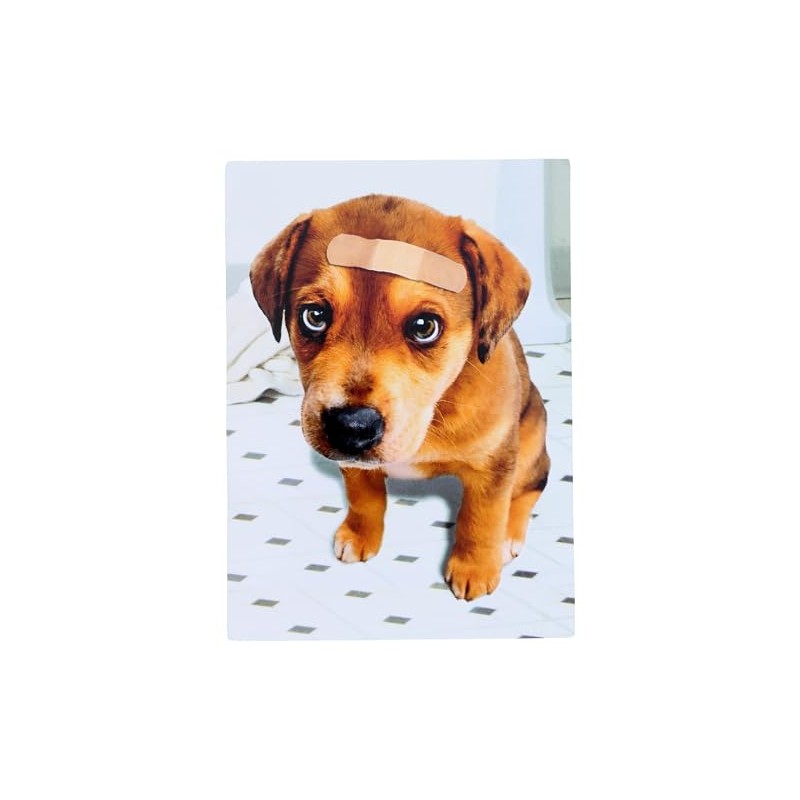 Band Aid Dog Dog Get Well Card