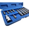 Spline Socket Bit Set 11 Piece 1/2 Drive Standard and