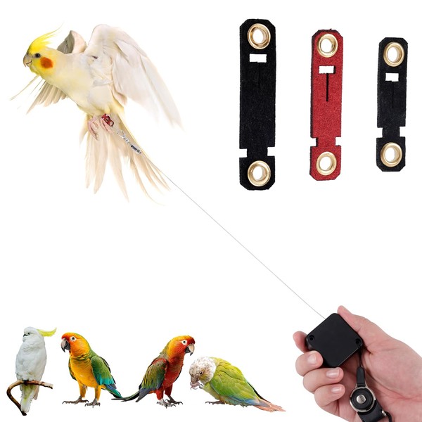 Retractable Bird Leash, 6.56ft Bird Harness with 3 Sizes of