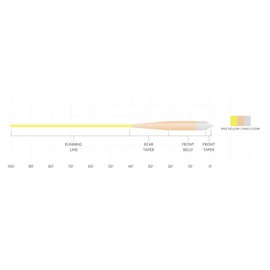 (WF9F/I) - Scientific Anglers Sonar Grand Slam Clear Tip