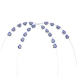 SEAVERRS 1 Pack Temporary Tooth Decoration with Metal Wires,Metal Bracket and Orthodontic Ligature Ties,Practice Props for Dental Students,lecture prop for orthodontists. (Dark blue)