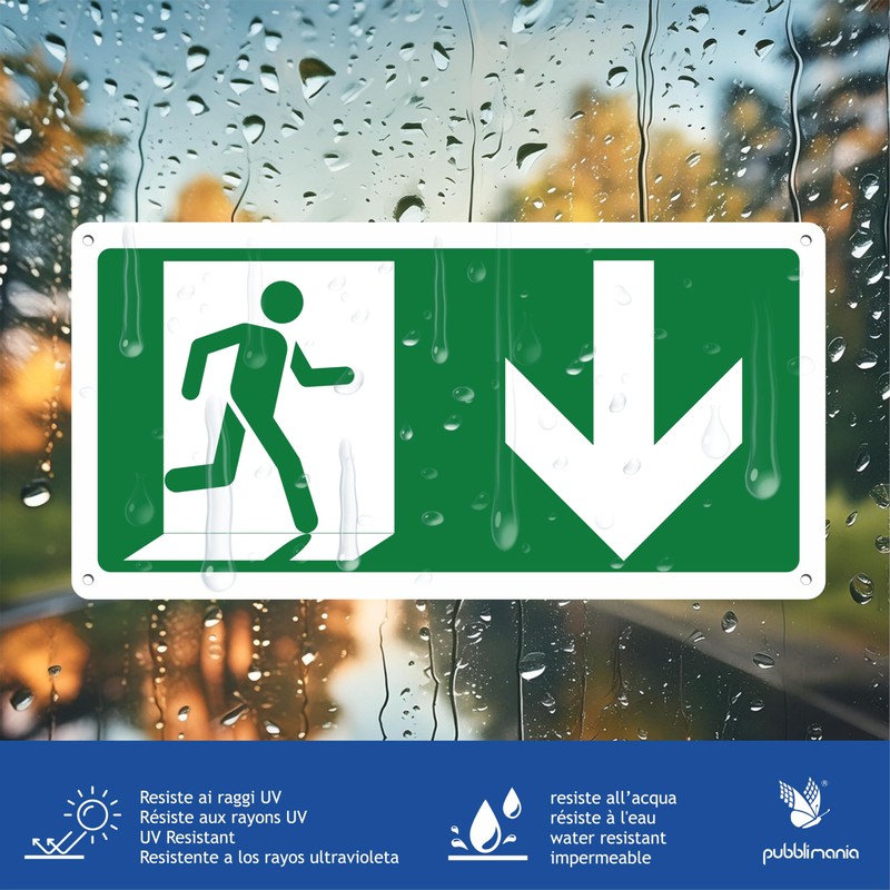 Pubblimania 2 Emergency Exits Arrow Down | Aluminium Composite Sign