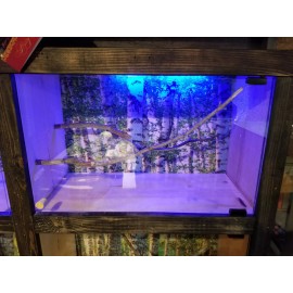 Unbranded Bird Cage, Birdhouse, Dustless, any size, any color