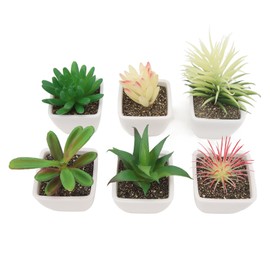 6PCS Potted Artificial Succulents Artificial Plants in Pots Plastic Fake Home Plant Decor for Living Room Office