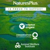 NaturesPlus Magtein Magnesium L-Threonate- High Strength, Calm, Mood, Memory, Focus,
