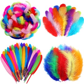 Feathers,Feathers for Crafting,300 Pcs 4 Styles Natural Feather,5-15 cm Colorful Craft Feathers for Kindergarten DIY Crafts Wedding Home Party Decorations Dream Catcher Supplies (Color)